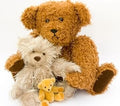 Teddy Bears