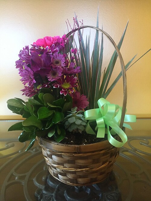 Medium Live Plant Basket with flowers