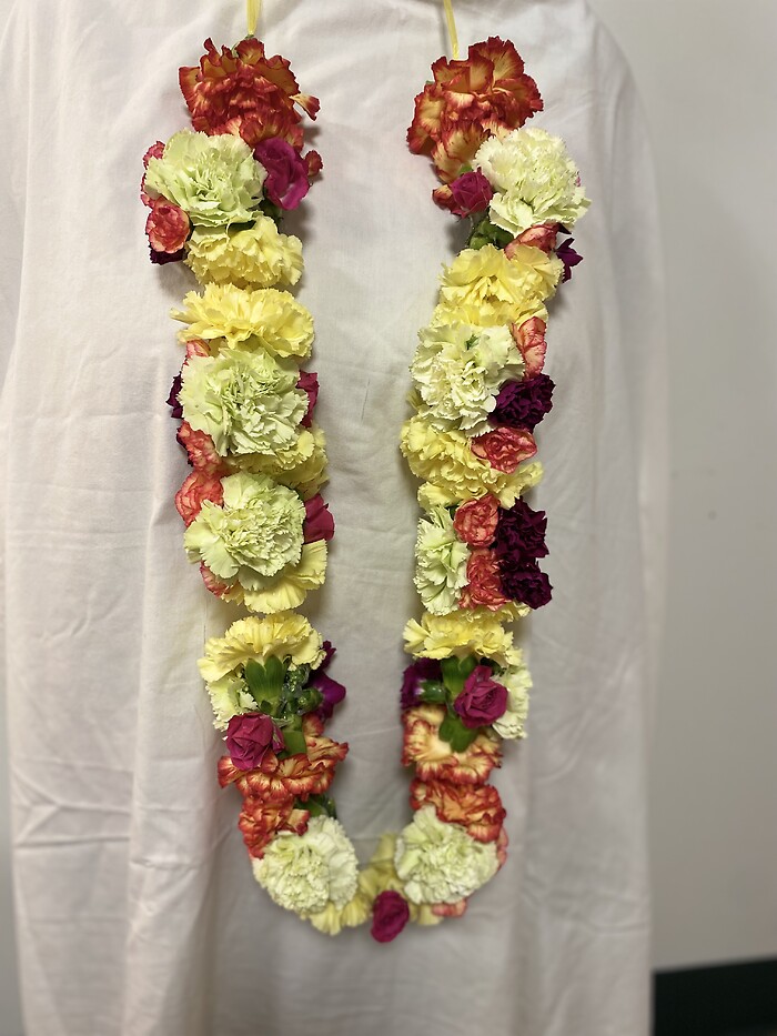 Multicolor Garland (Carnations and Mini Carnations)