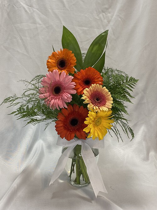 Charming Gerberas Half Dozen