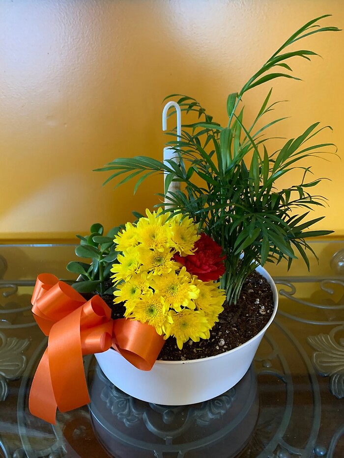 Hanging Planter with flowers