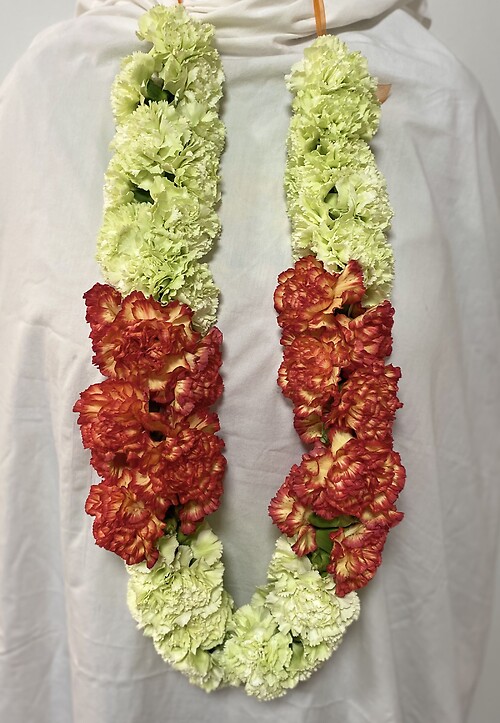Carnation Garland