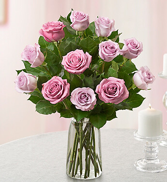A Perfect Lavender Dozen