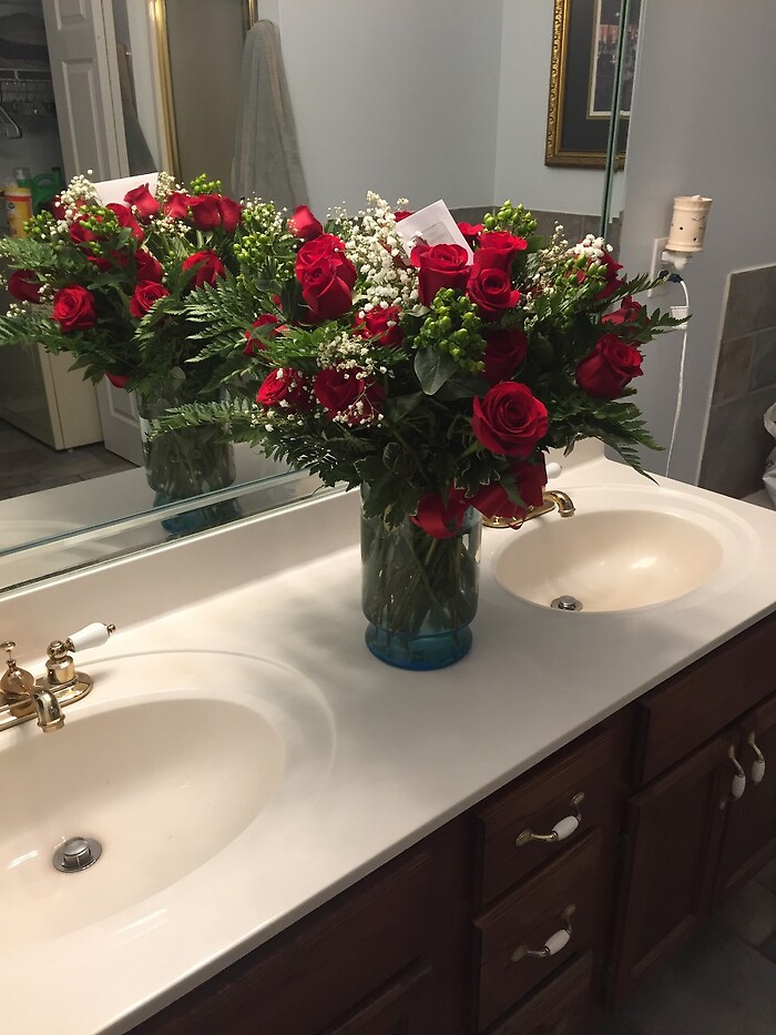 2 Dozen Rose Arrangement